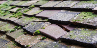 Selsey roof repair costs